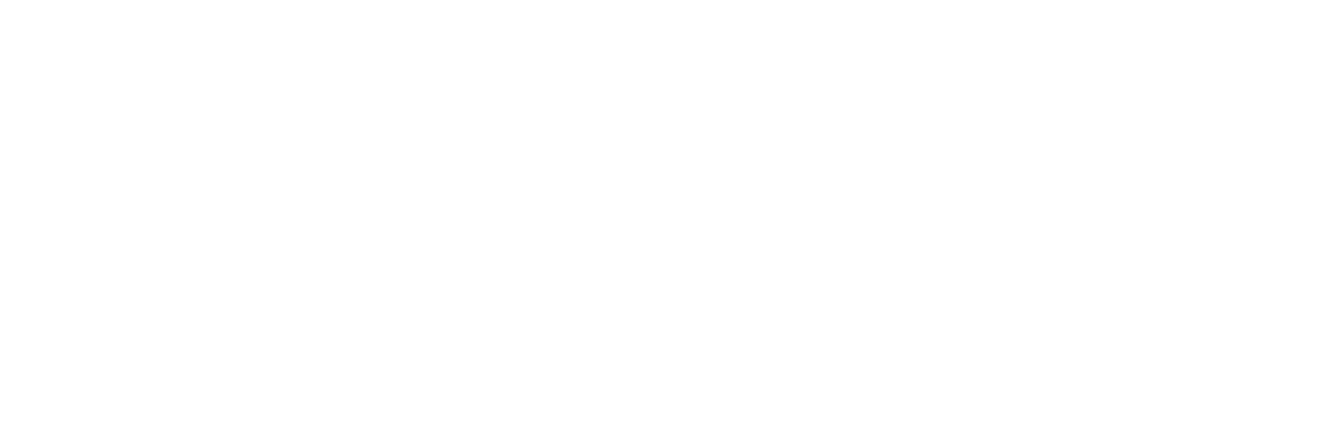 FITNESS FOCUS NOWS