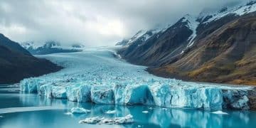 Updates on the global impact of climate change